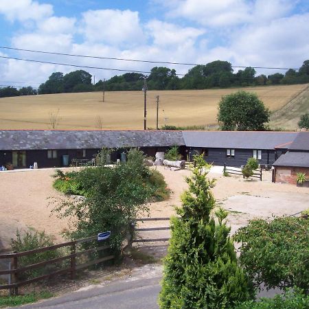 Five Cottages In Aonb And A Hobbit House! Canterbury Buitenkant foto